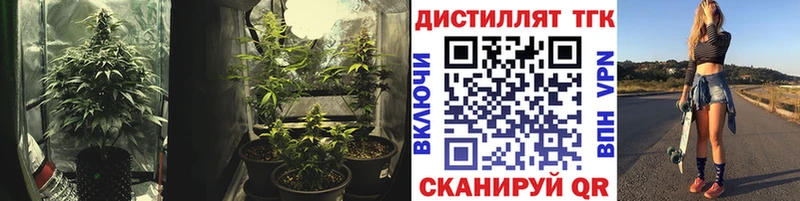Купить  Уварово  ТГК Wax 